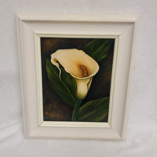 Calla Lilly in Frame